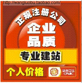 網(wǎng)站建設(shè)及維護服務(wù) 打造您的優(yōu)質(zhì)在線門面