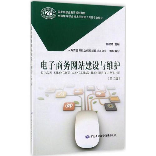 電子商務網(wǎng)站建設與維護（第二版） 全面解析網(wǎng)站建設及維護服務